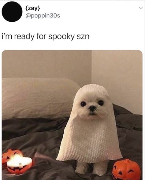 spooky friends memes